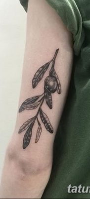 fotografija tetovaže grane masline od 13.11.2017. №041 - tetovaža maslinove grančice -