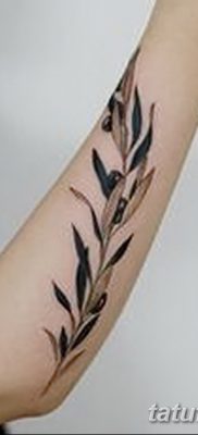 fotografija tetovaže maslinove grančice od 13.11.2017. №045 - tetovaža maslinove grančice -