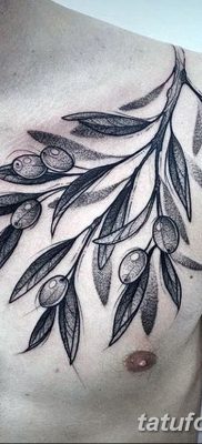 fotografija tetovaže maslinove grančice od 13.11.2017. №049 - tetovaža maslinove grančice -
