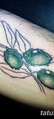 fotografija tetovaže grane masline od 13.11.2017. №050 - tetovaža maslinove grančice -