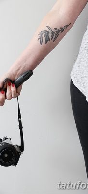 fotografija tetovaže maslinove grančice od 13.11.2017. №053 - tetovaža maslinove grančice -