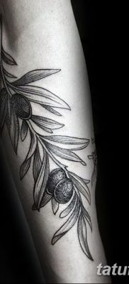 fotografija tetovaže maslinove grančice od 13.11.2017. №062 - tetovaža maslinove grančice -