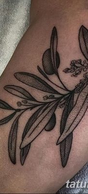 fotografija tetovaže maslinove grančice od 13.11.2017. №063 - tetovaža maslinove grančice -