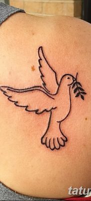 fotografija tetovaže grane masline od 13.11.2017. №069 - tetovaža maslinove grančice -