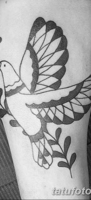 fotografija tetovaže grane masline od 13.11.2017. №071 - tetovaža maslinove grančice -