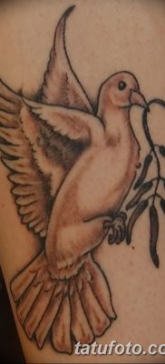 fotografija tetovaže maslinove grančice od 13.11.2017. №073 - tetovaža maslinove grančice -