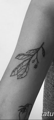 fotografija tetovaže maslinove grančice od 13.11.2017. №081 - tetovaža maslinove grančice -
