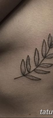 fotografija tetovaže grane masline od 13.11.2017. №082 - tetovaža maslinove grančice -