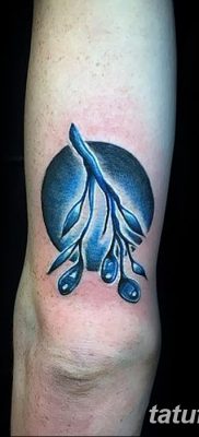 fotografija tetovaže maslinove grančice od 13.11.2017. №086 - tetovaža maslinove grančice -