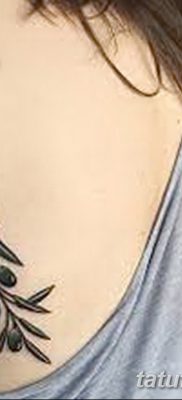 fotografija tetovaže maslinove grančice od 13.11.2017. №090 - tetovaža maslinove grančice -