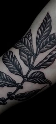 fotografija tetovaže maslinove grančice od 13.11.2017. №093 - tetovaža maslinove grančice -