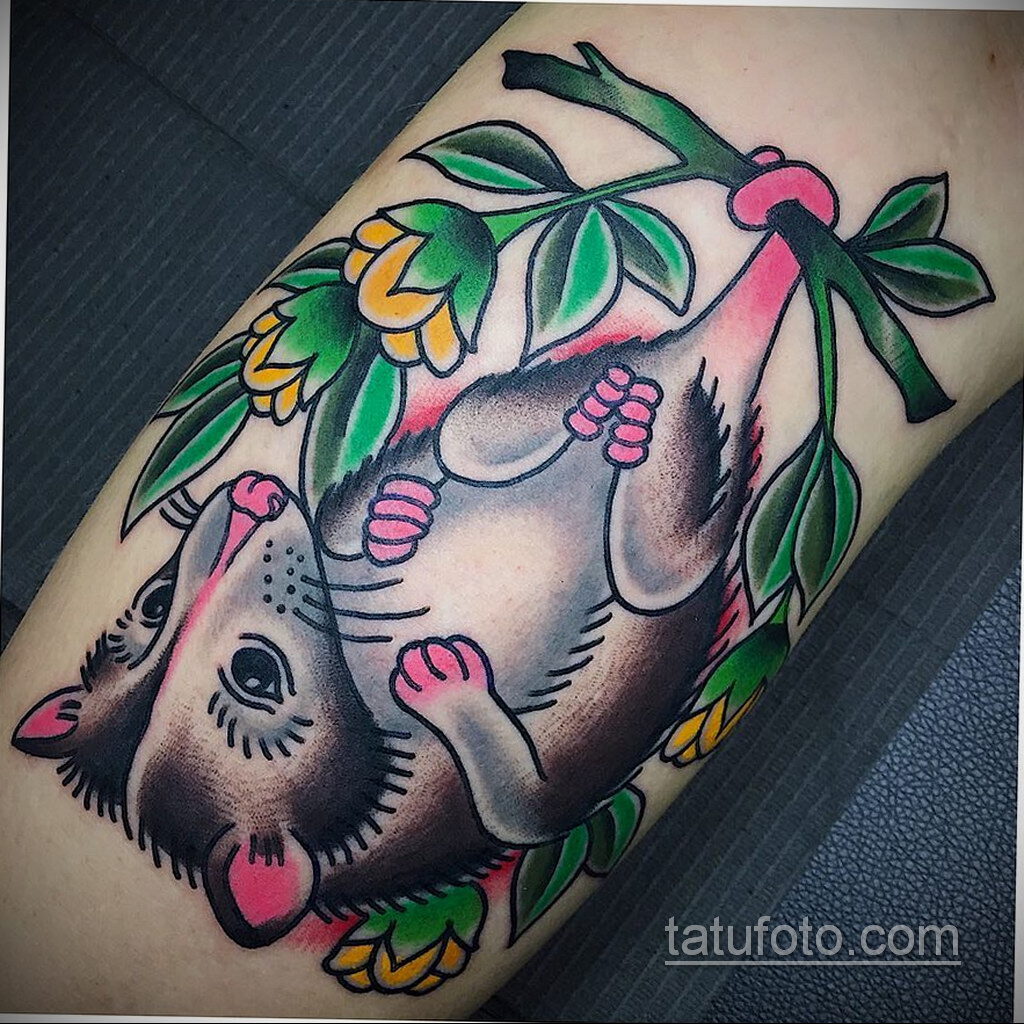 Fényképes példa a Possum tetoválás rajzára 2020.11.18. №133 -Opossum tetoválás