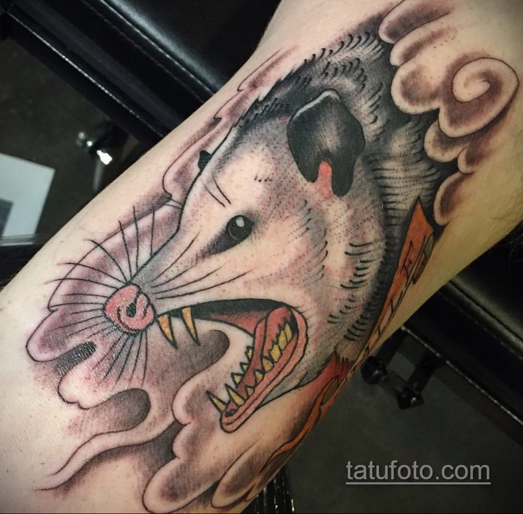 Fényképes példa a Possum tetoválás rajzára 2020.11.18. №125 -Opossum tetoválás