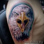 Sas tetoválás - színes munka karon és vállon