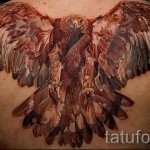 Tetováló sas dobásban - opció a hátulján