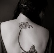 Az orchidea tetoválás jelentése 28