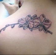 Az orchidea tetoválás jelentése 19