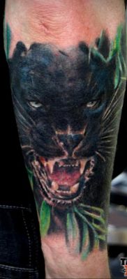 Fotó egy párduc vigyor tetoválás rajzáról 2020.02.05. №089 -párduc vigyor tetoválás -