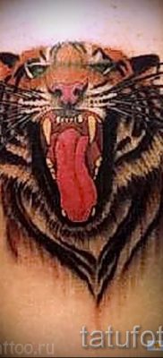 fotó egy tigris vigyoros tetoválásról egy cikkre a vigyortetoválás jelentéséről - tatufoto.ru - 36