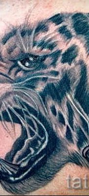 fotó egy tigris vigyoros tetoválásról egy cikkre a vigyortetoválás jelentéséről - tatufoto.ru - 34