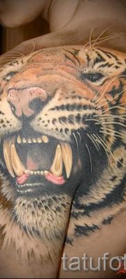 fotó egy tigris vigyoros tetoválásról egy cikkre a vigyortetoválás jelentéséről - tatufoto.ru - 30