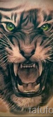 fotó egy tigris vigyoros tetoválásról egy cikkre a vigyortetoválás jelentéséről - tatufoto.ru - 29