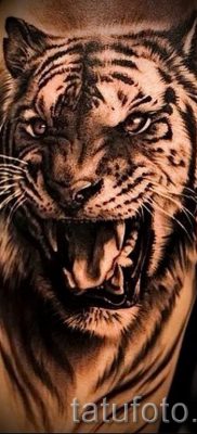 fotó egy tigris vigyoros tetoválásról egy cikkre a vigyortetoválás jelentéséről - tatufoto.ru - 21