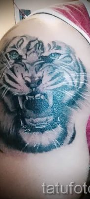 fotó egy tigris vigyoros tetoválásról egy cikkre a vigyortetoválás jelentéséről - tatufoto.ru - 20
