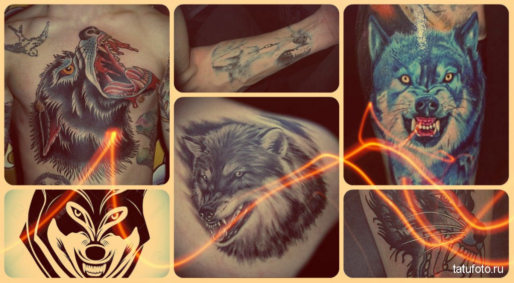 A farkas vigyorának tetoválásának jelentése - példa a fotón