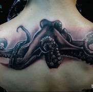 A polip tetoválás jelentése 17