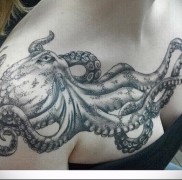 A polip tetoválás jelentése 12