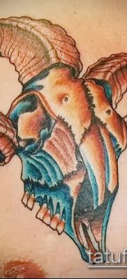 Kos tetoválás fotó (jelentése) - példa egy érdekes tetoválási rajzra - 053