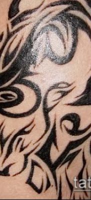 Kos tetoválás fotó (érték) - példa egy érdekes tetoválási tervre - 052