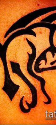 Kos tetoválás fotó (érték) - példa egy érdekes tetoválási rajzra - 051