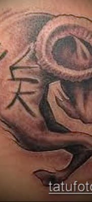 Kos tetoválás fotó (érték) - egy példa egy érdekes tetoválási rajzra - 050