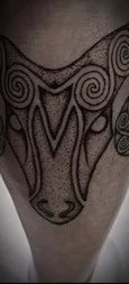 Kos tetoválás fotó (érték) - példa egy érdekes tetoválási rajzra - 048