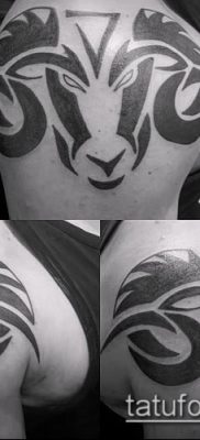 Kos tetoválás fotó (érték) - példa egy érdekes tetoválási rajzra - 045