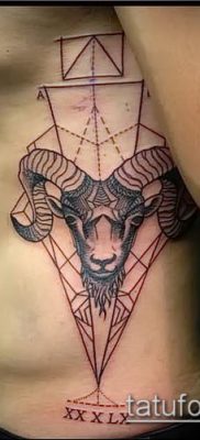 Kos tetoválás fotó (jelentése) - példa egy érdekes tetoválási rajzra - 043