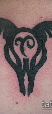 Kos tetoválás fotó (jelentése) - példa egy érdekes tetoválási rajzra - 042