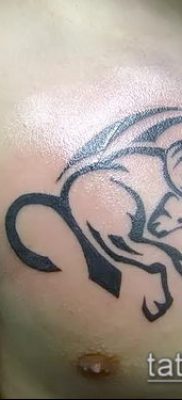 Kos tetoválás fotó (jelentése) - példa egy érdekes tetoválási rajzra - 041