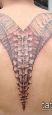 Kos tetoválás fotó (jelentése) - példa egy érdekes tetoválási rajzra - 040