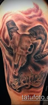 Kos tetoválás fotó (érték) - példa egy érdekes tetoválási rajzra - 039