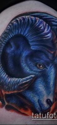 Kos tetoválás fotó (jelentése) - példa egy érdekes tetoválási rajzra - 036