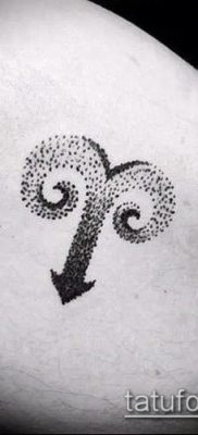 Kos tetoválás fotó (érték) - példa egy érdekes tetoválási tervre - 035