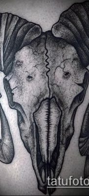 Kos tetoválás fotó (jelentése) - példa egy érdekes tetoválási rajzra - 034