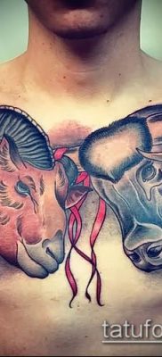 Kos tetoválás fotó (jelentése) - példa egy érdekes tetoválási rajzra - 033