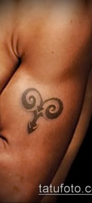 Kos tetoválás fotó (érték) - példa egy érdekes tetoválási rajzra - 032