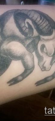 Kos tetoválás fotó (érték) - példa egy érdekes tetoválási rajzra - 030