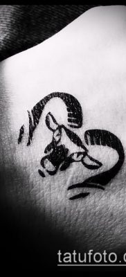Kos tetoválás fotó (jelentése) - példa egy érdekes tetoválási rajzra - 029