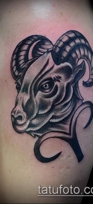 Kos tetoválás fotó (jelentése) - példa egy érdekes tetoválási rajzra - 028